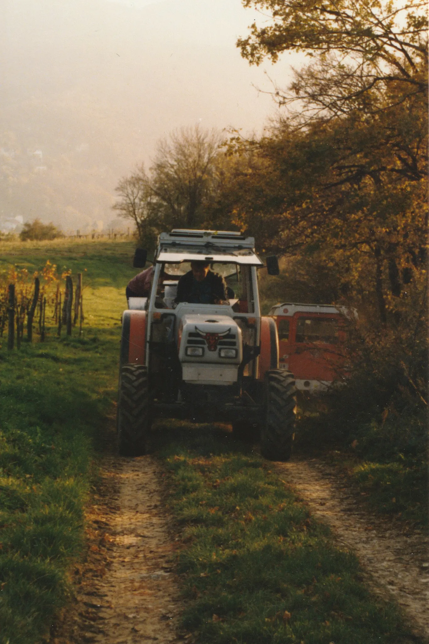Weinwandertag