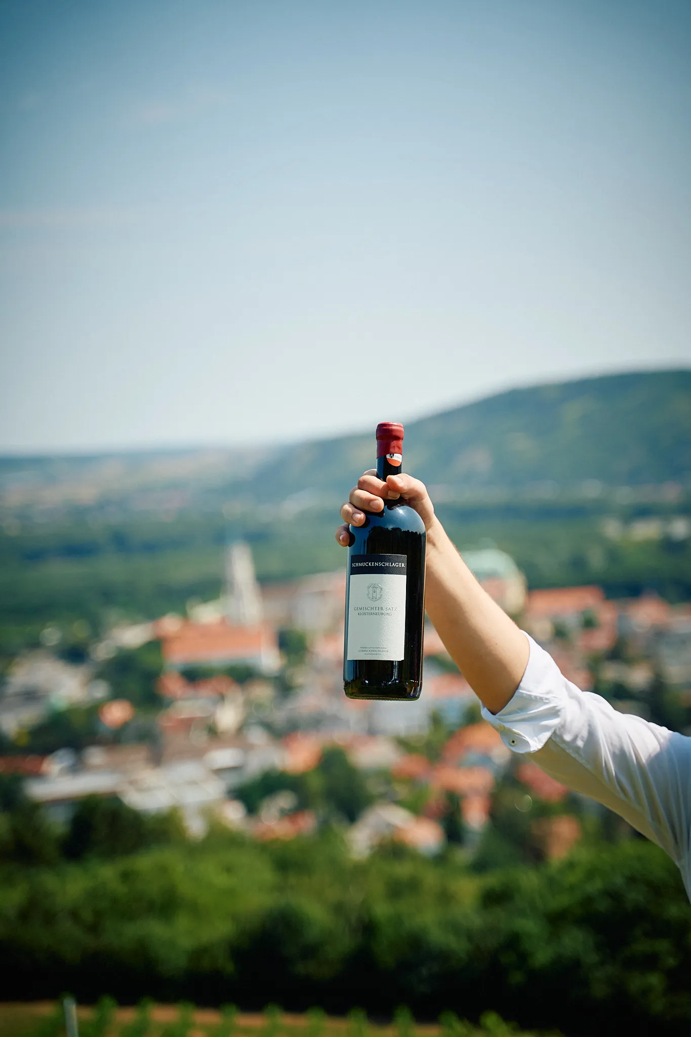 Riesling und Grauer Burgunder Nr. 1 bei der Bezirksweinkost
